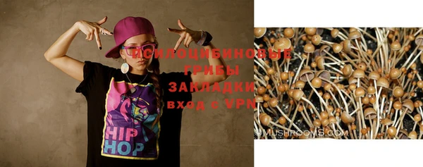 Альфа ПВП Беломорск