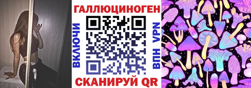 Псилоцибиновые грибы Psilocybe  Купить закладки  Камышлов 